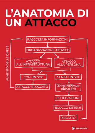 anatomia